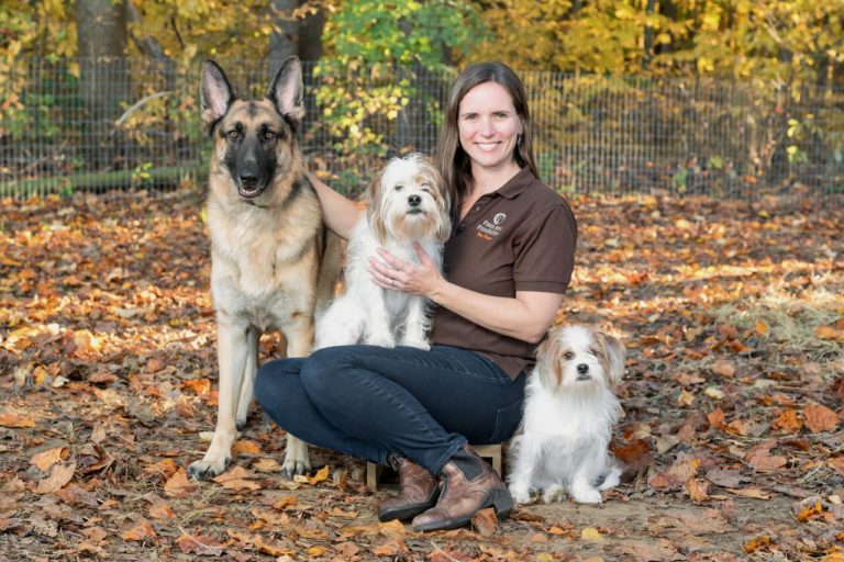 How to find the best dog trainer for you. Part 2