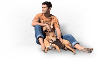 Zen of Dog Ownership-Doggy Dan