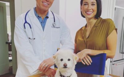 Integrative Medicine for Dogs – Interview with Patrick Mahaney