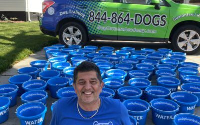 Dog Owner’s Academy is offering FREE water buckets to dog friendly establishments.