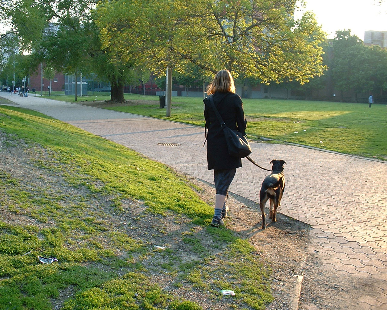 Walk your dog