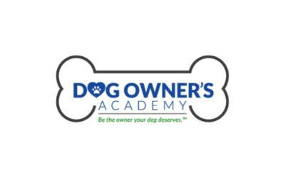 Our Dog Training Philosophy