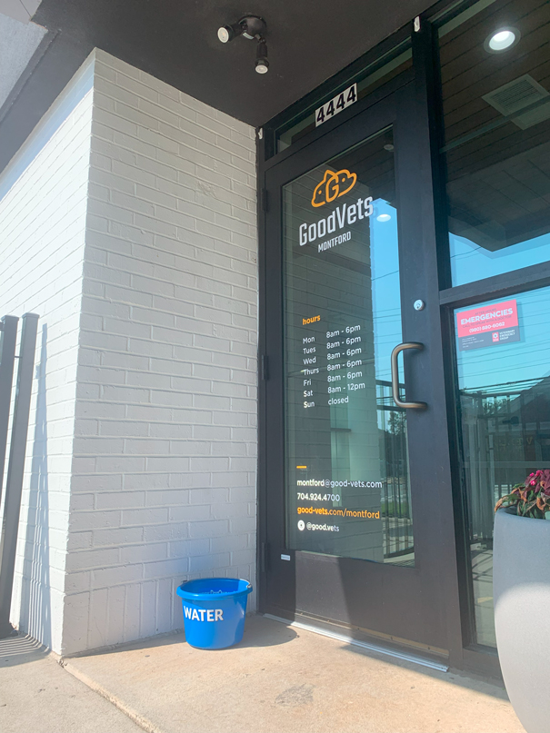 Goodvetsdogswelcome Goodvetsdogswelcome