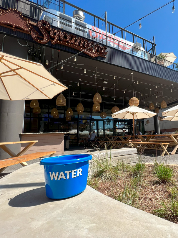 Sycamoredogswelcome Sycamoredogswelcome