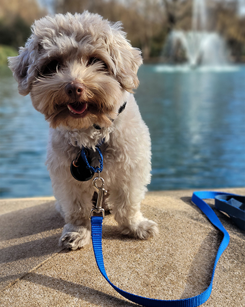 20231116 145717 20231116 145717