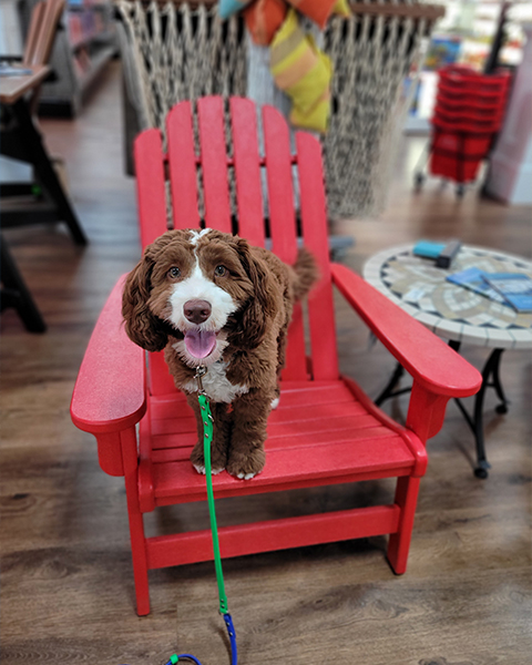 Chapel Rogers 20230411 145403(0) Chapel Rogers 20230411 145403(0)