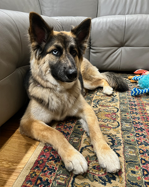 Nala Patel 58384 Nala Patel 58384