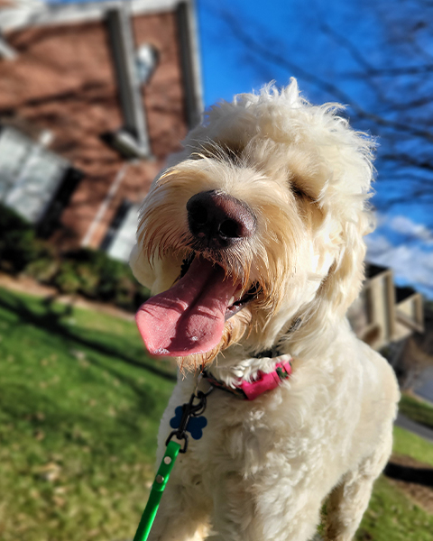 Sadie Rossmeisel 20230126 143512 Sadie Rossmeisel 20230126 143512