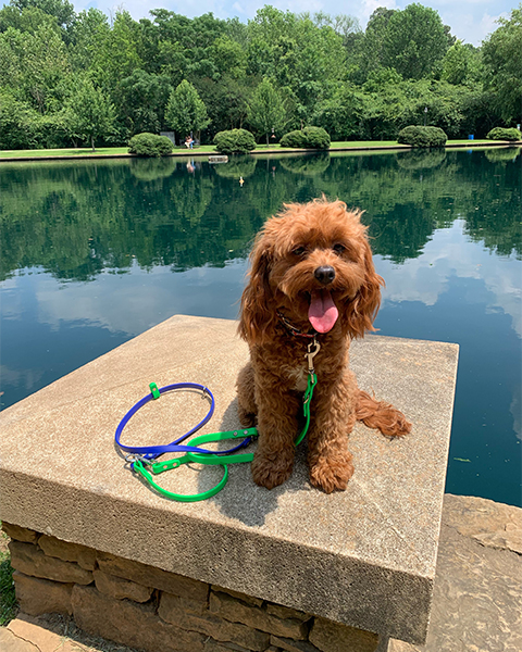 Tilly Img 5720 Tilly Img 5720