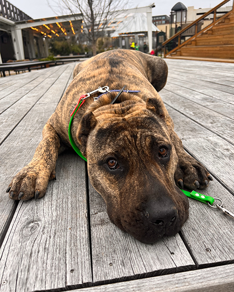 Website11111 Website11111