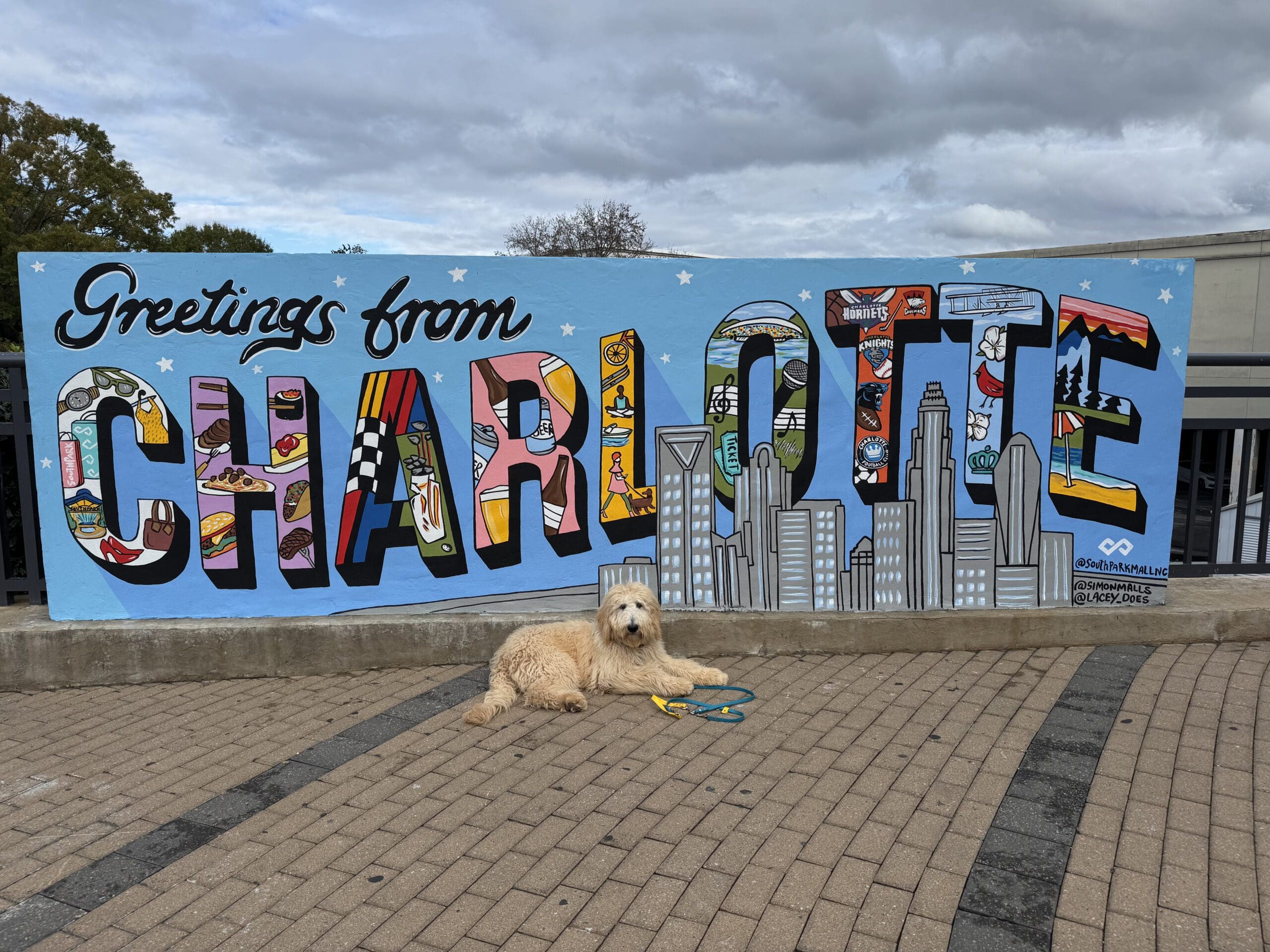 Photo of a white dog in front of a large "Greetings from Charlotte" sign in Charlotte, NC