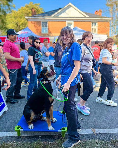 Caelanncdogtrainer Caelanncdogtrainer