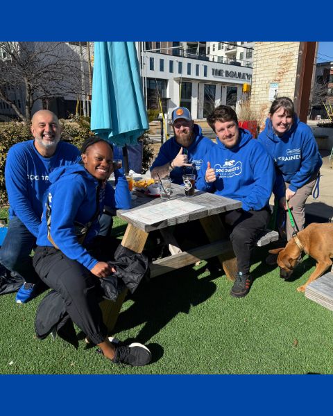 Team 480×600 Team 480x600