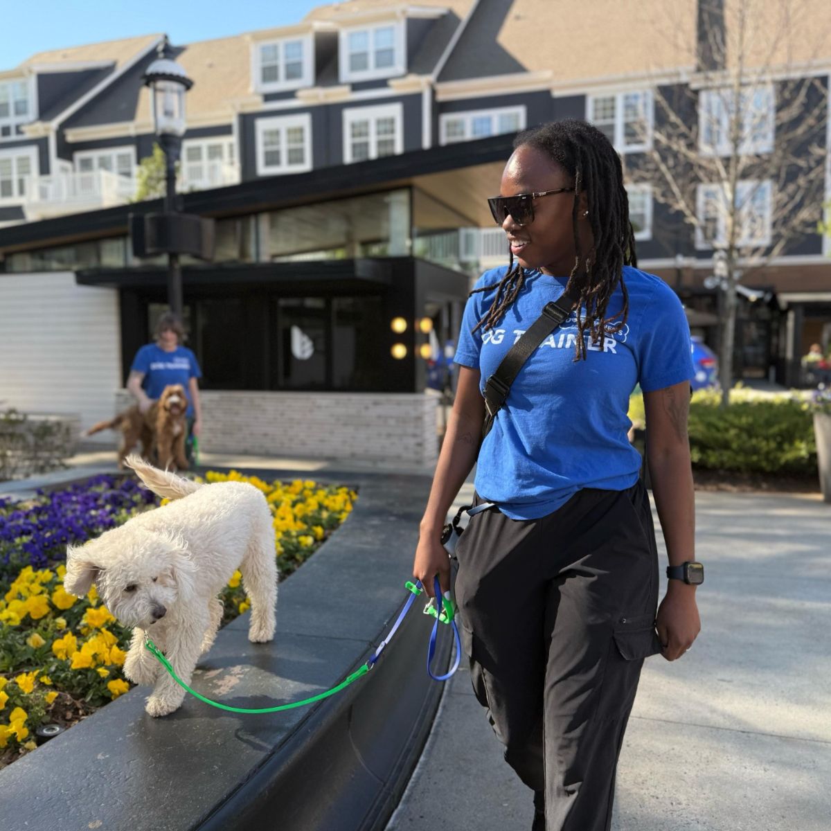Charlotte dog trainer walking a dog
