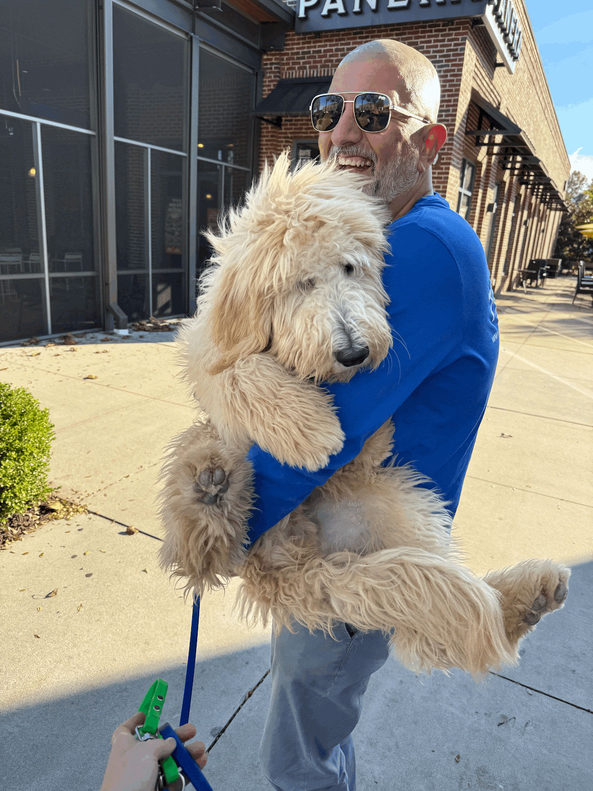 Dodogtraining2