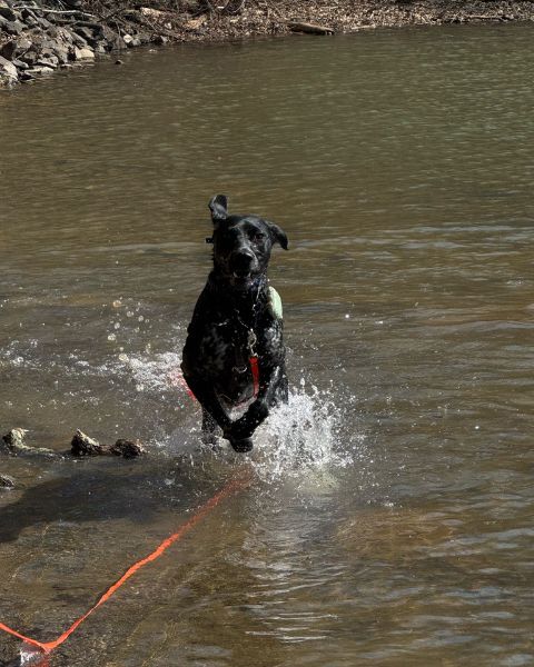 Website Scroll 3 Website Scroll 3