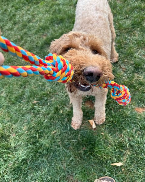 Website Scroll 4 Website Scroll 4