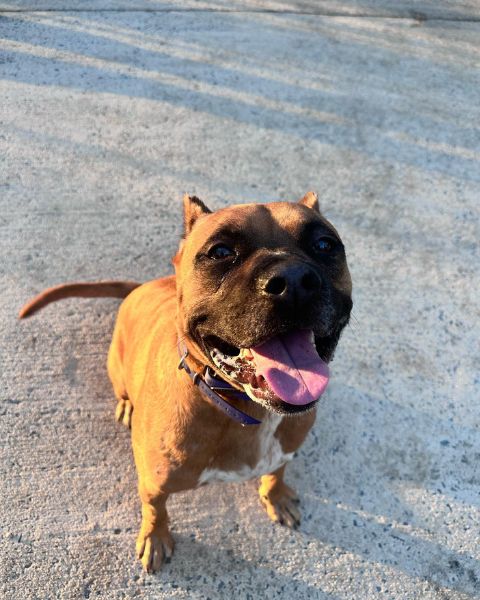 Website Scroll Website Scroll