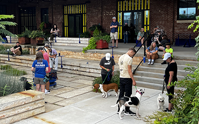 Photo of a Dog Owner's Academy group training class in Charlotte, NC