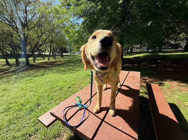 Take the First Step Toward a Better Bond