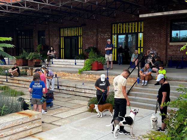 Puppy Socialization - The Golden opportunity