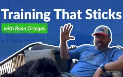 Leash Pulling: Ryan and Bear’s Board & Train Story