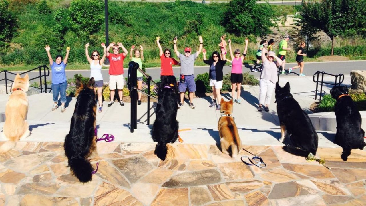 Group Dog Training in Charlotte, NC. Photo shows six obedient dogs sitting off leash and their smiling owners with arms raised in celebration from a distance