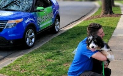 Board & Train Pricing vs. In-Home Lessons: Which Is Really More Cost-Effective?