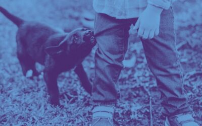 Why Dogs Play Bite and 5 Things Keeping the Habit Alive