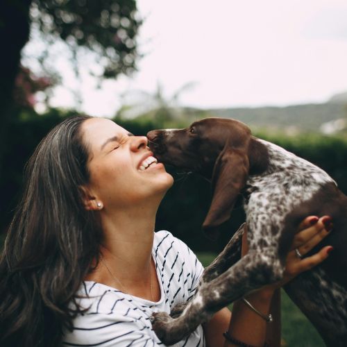 Excited dog jumping up and licking owner's face, showing unwanted jumping behavior addressed by Charlotte, NC dog trainers