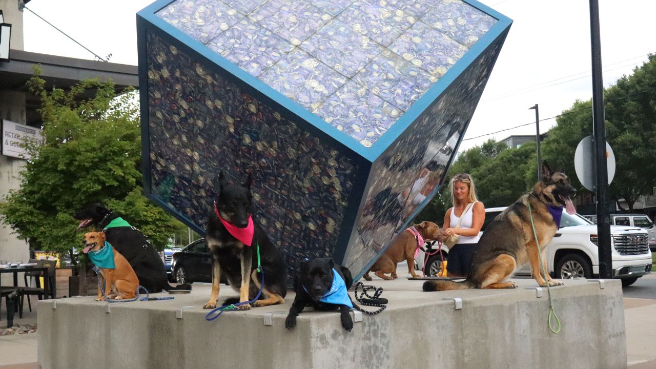 Trained dogs listening and sitting calmly at a public art sculpture during a Charlotte, NC dog training class with Dog Owner's Academy
