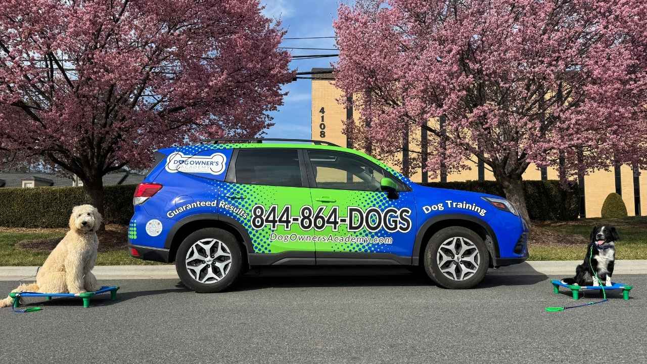 Dog Owners Academy training vehicle with two calm dogs, in-home resource guarding training in Charlotte, NC